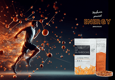 Cordyceps Militaris - 100% Organic & Natural Performance Enhancer| Dried Mushrooms | 30g Cordyceps Militaris - 100% Organic & Natural Performance Enhancer| Dried Mushrooms | 30g