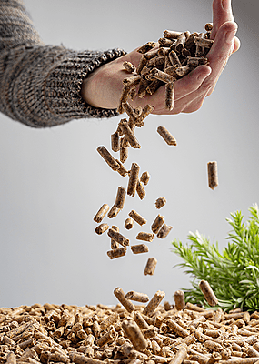 Organic Mushroom Grow Medium Pellets - Nutrient-Rich Substrate Organic Mushroom Grow Medium Pellets - Nutrient-Rich Substrate