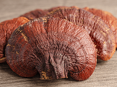 Premium Dried Reishi Mushrooms - Elevate Your Wellness Naturally Premium Dried Reishi Mushrooms - Elevate Your Wellness Naturally
